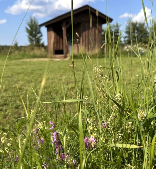 Holiday house and summer cottage booking at Matsu Cottage near Lake Peipsi
